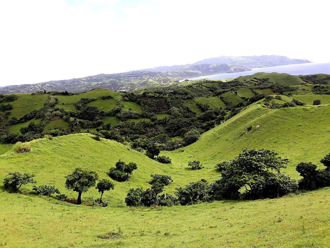 The green hills of Batanes